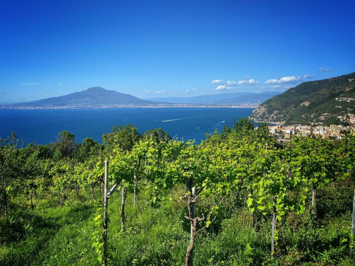 La Badia Montechiaro - Breathtaking View Of Sorrento Coast Villa Vico Equense Exterior photo