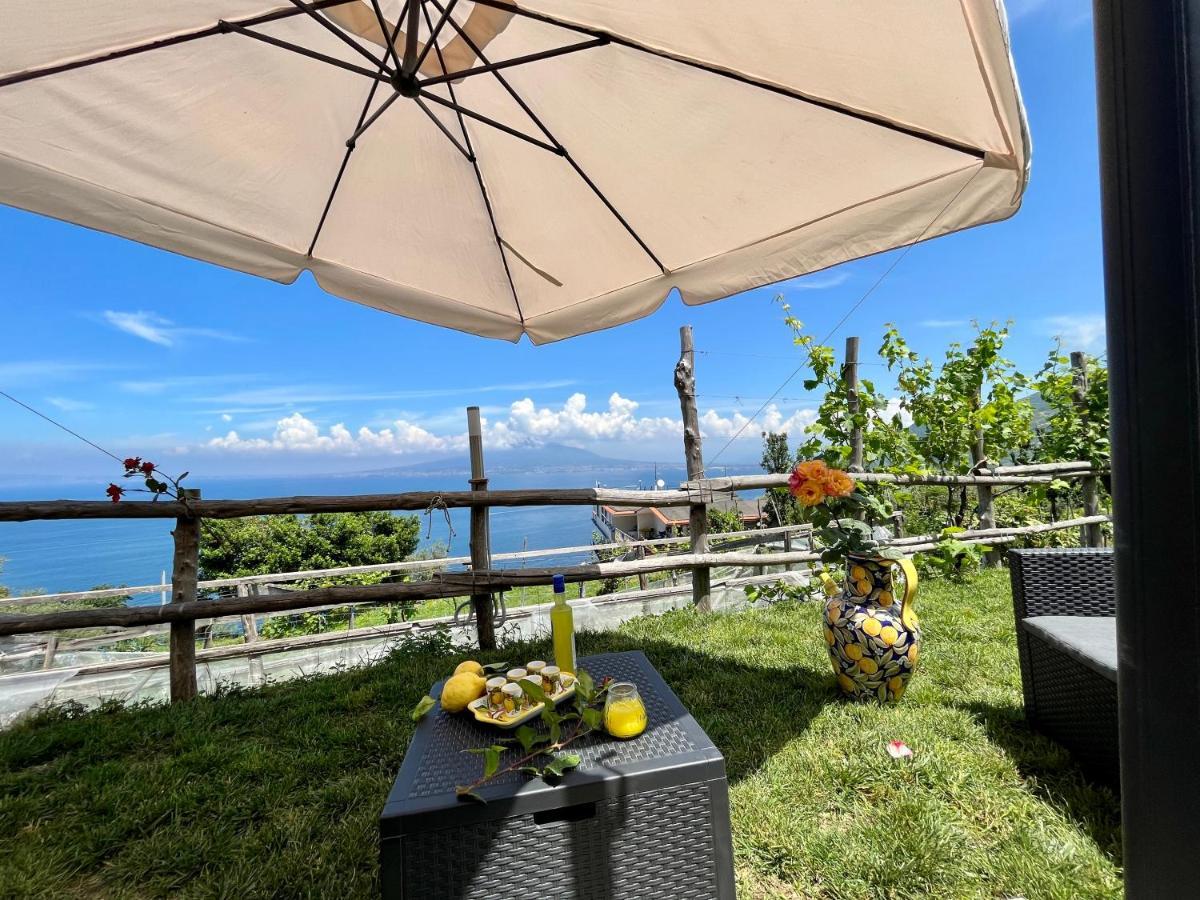 La Badia Montechiaro - Breathtaking View Of Sorrento Coast Villa Vico Equense Exterior photo